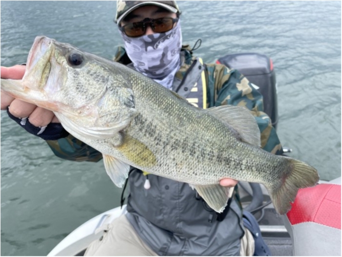 truth  ブログ写真 2021/05/15