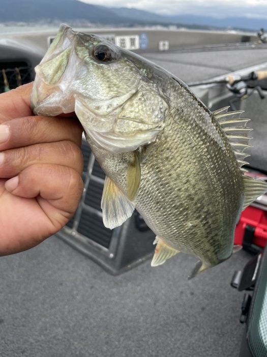 truth  ブログ写真 2021/05/15