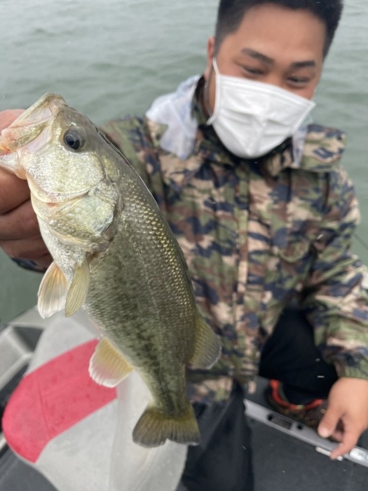 truth  ブログ写真 2021/05/16