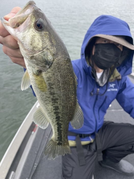 truth  ブログ写真 2021/05/16