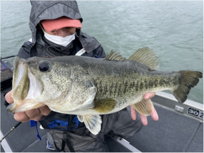 truth  ブログ写真 2021/05/17