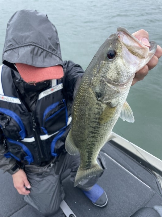 truth  ブログ写真 2021/05/17