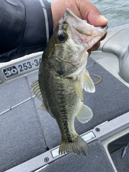 truth  ブログ写真 2021/05/17