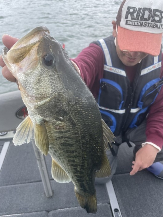 truth  ブログ写真 2021/05/17