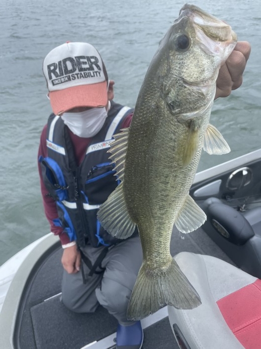 truth  ブログ写真 2021/05/17