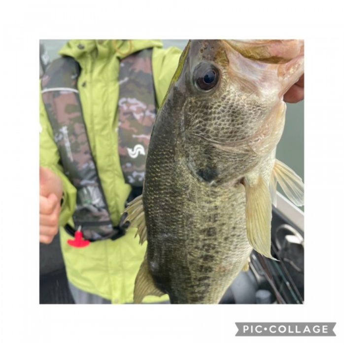 truth  ブログ写真 2021/05/18