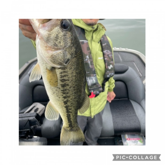 truth  ブログ写真 2021/05/18