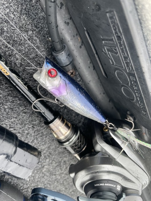 truth  ブログ写真 2021/05/19