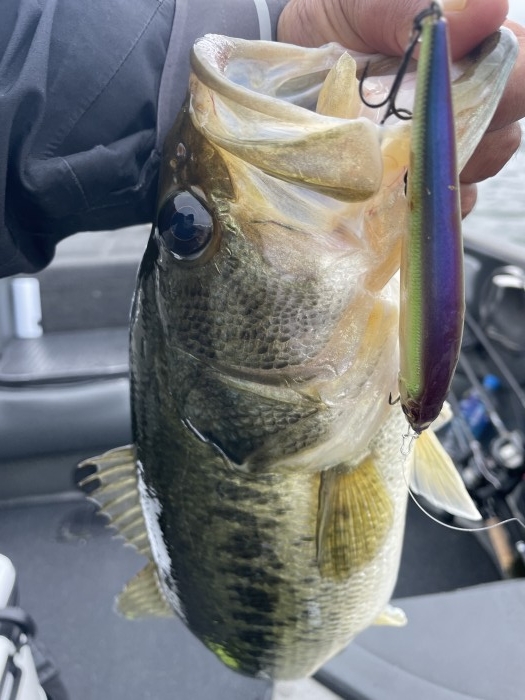 truth  ブログ写真 2021/05/19