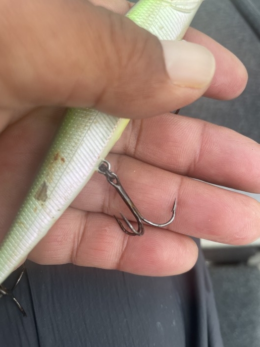 truth  ブログ写真 2021/05/19