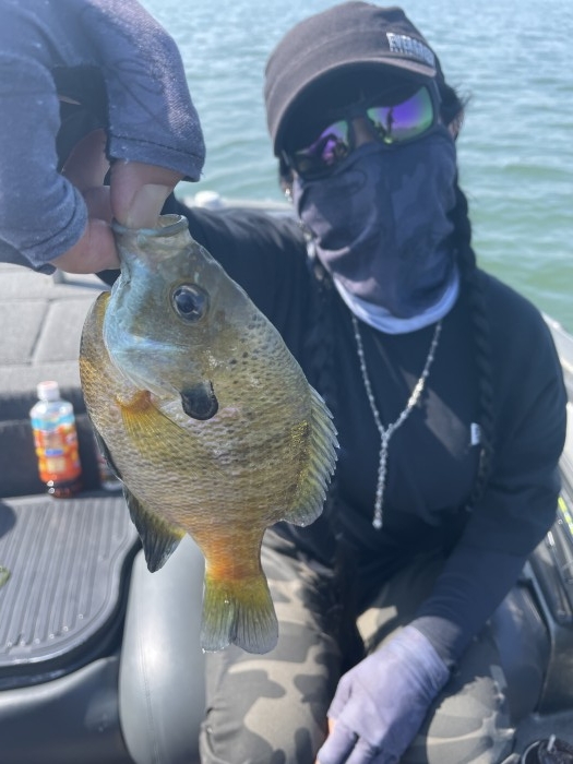 truth  ブログ写真 2021/06/01