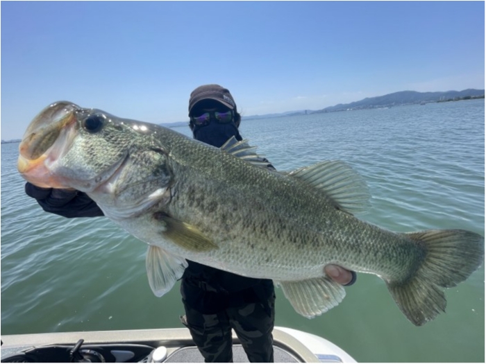 truth  ブログ写真 2021/06/01