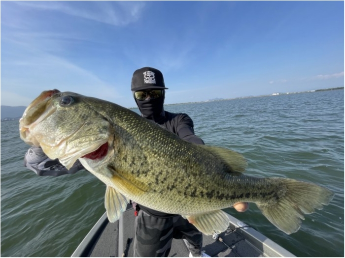 truth  ブログ写真 2021/06/01