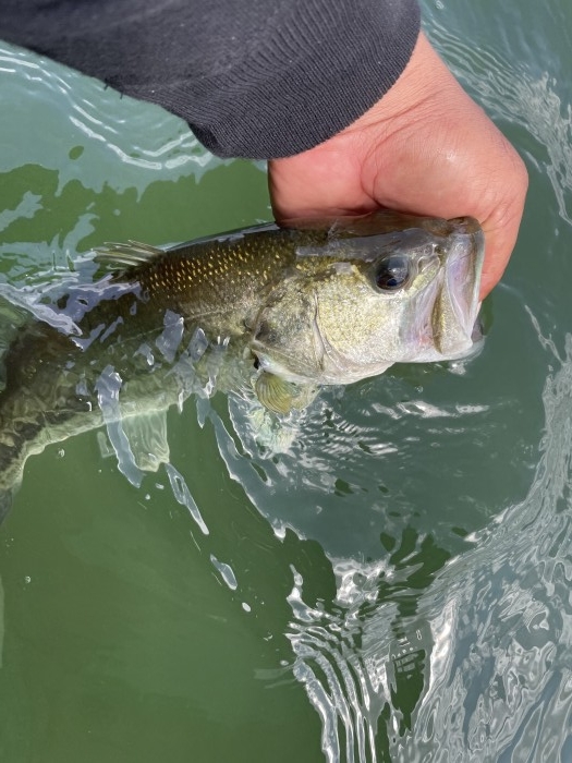 truth  ブログ写真 2021/06/03