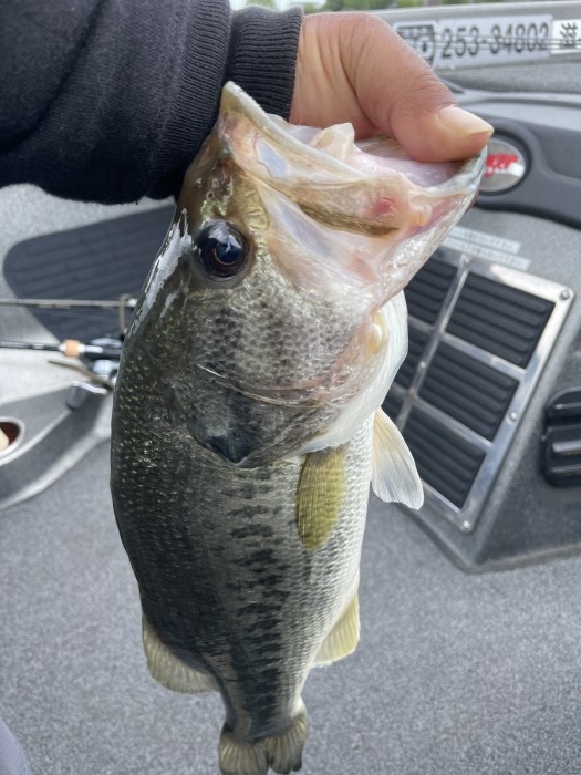 truth  ブログ写真 2021/06/03