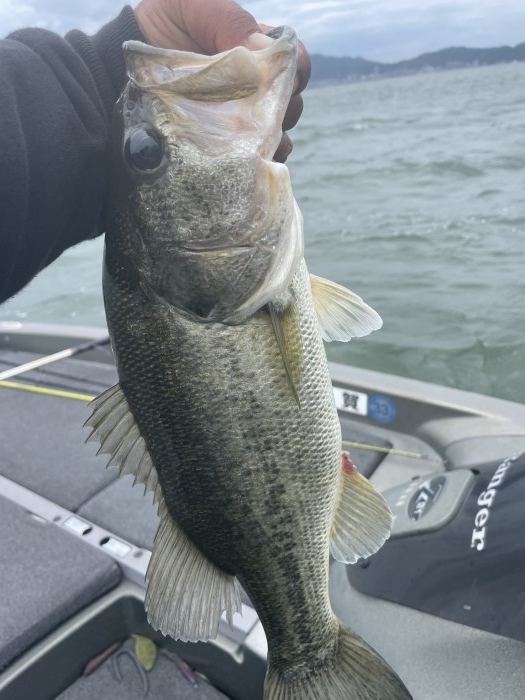 truth  ブログ写真 2021/06/03