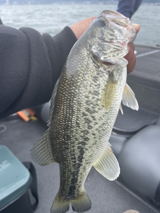 truth  ブログ写真 2021/06/03