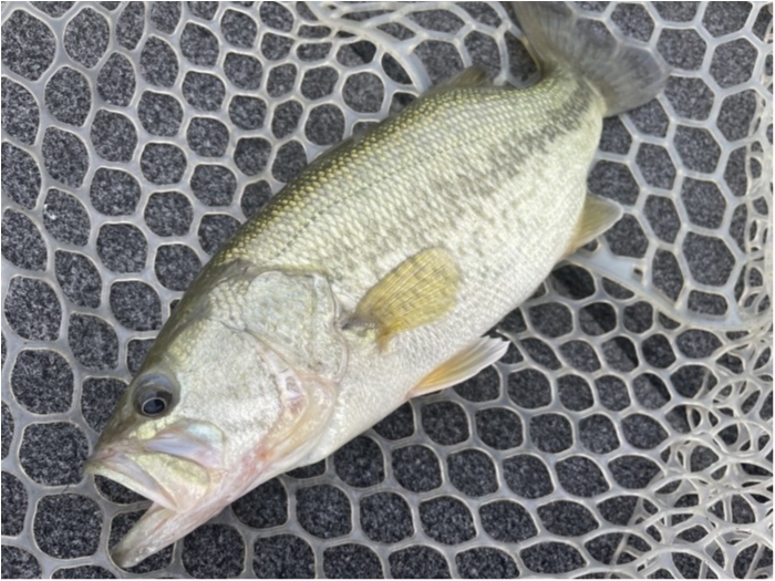 truth  ブログ写真 2021/06/03