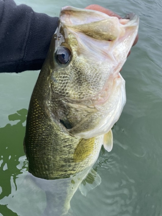 truth  ブログ写真 2021/06/03