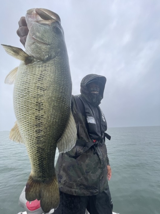 truth  ブログ写真 2021/06/04