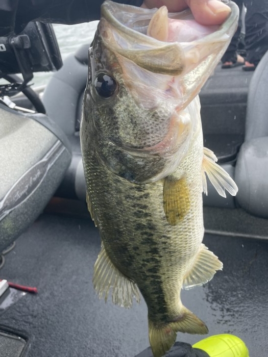 truth  ブログ写真 2021/06/04