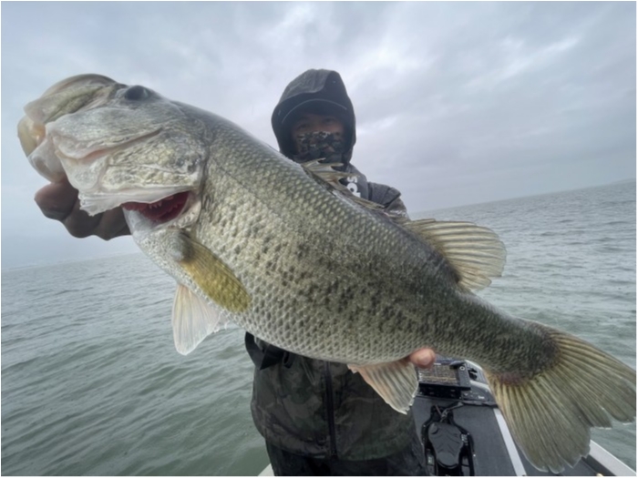 truth  ブログ写真 2021/06/04