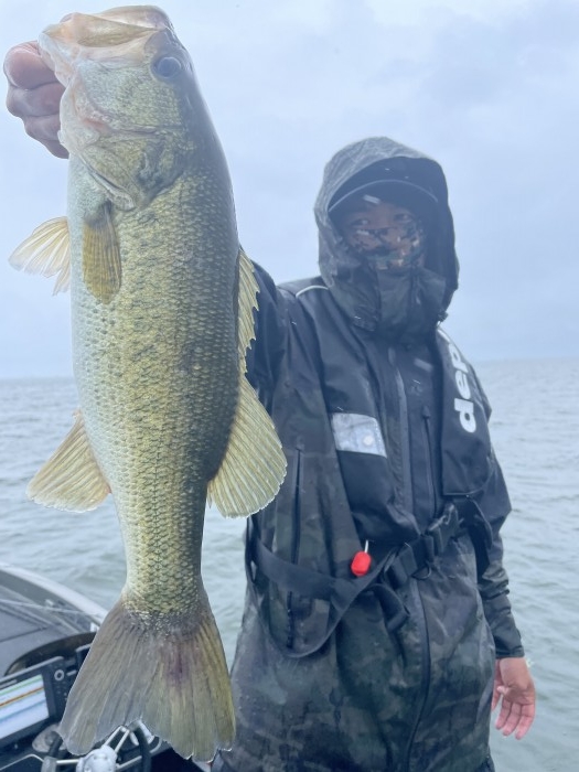 truth  ブログ写真 2021/06/04