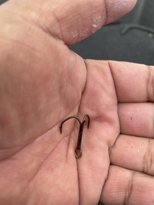 truth  ブログ写真 2021/06/04