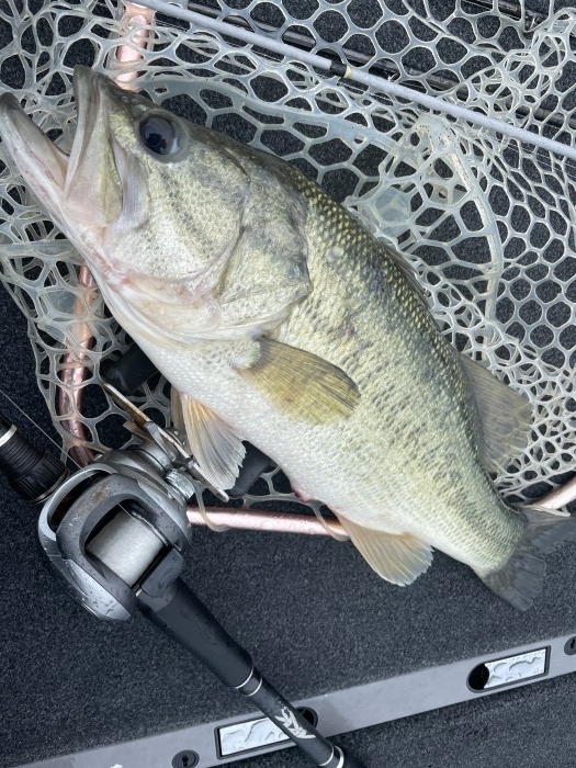 truth  ブログ写真 2021/06/04