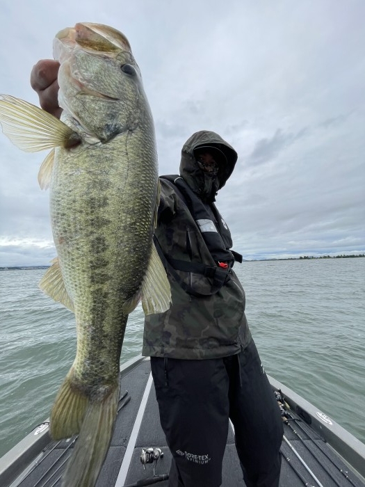 truth  ブログ写真 2021/06/04