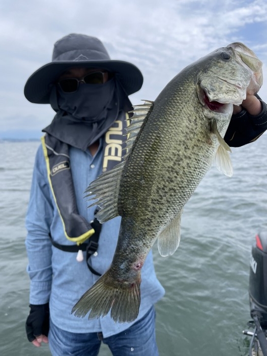 truth  ブログ写真 2021/06/05