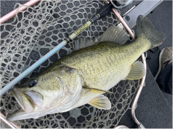 truth  ブログ写真 2021/06/05