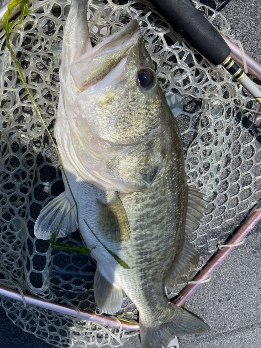 truth  ブログ写真 2021/06/06