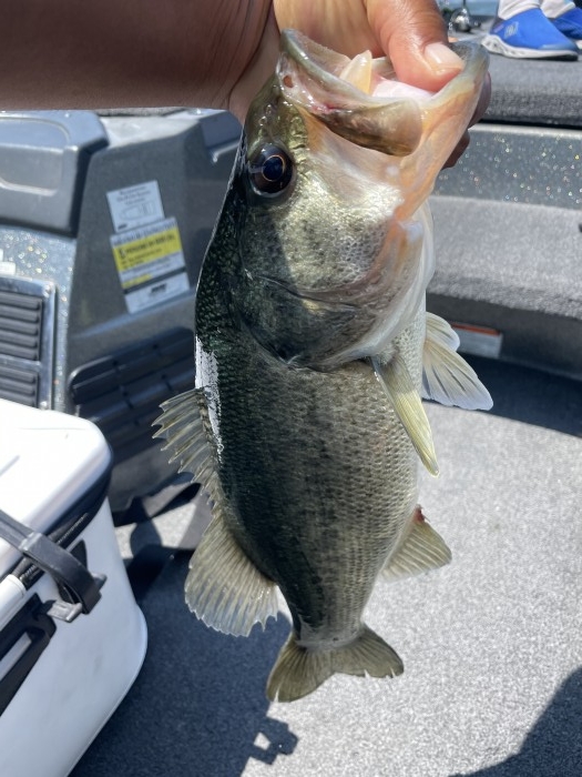 truth  ブログ写真 2021/06/09