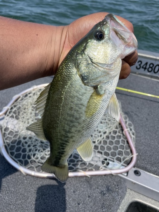 truth  ブログ写真 2021/06/10