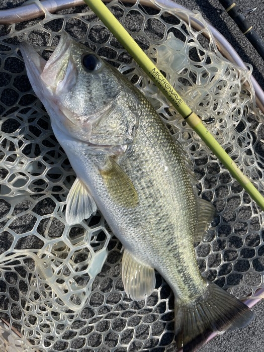 truth  ブログ写真 2021/06/10