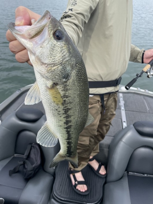 truth  ブログ写真 2021/06/11