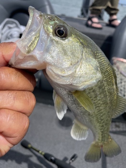 truth  ブログ写真 2021/06/11