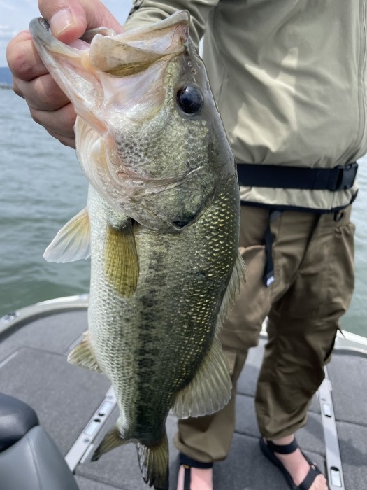 truth  ブログ写真 2021/06/11