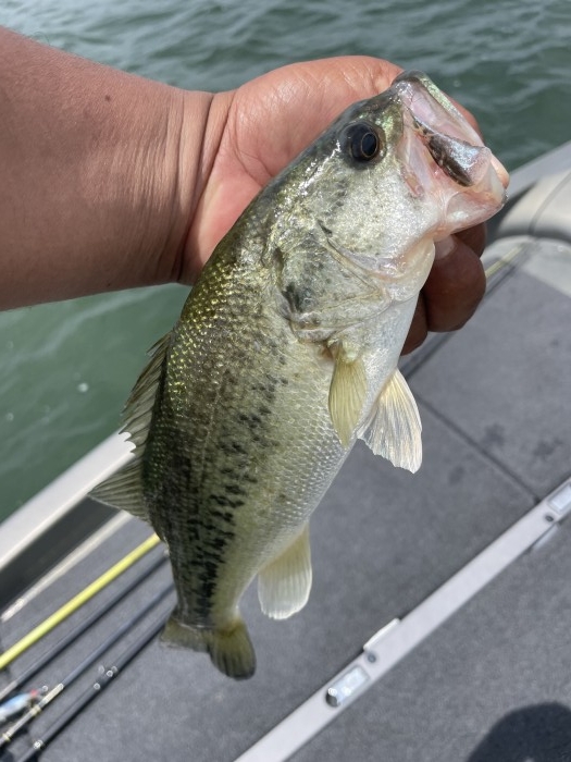 truth  ブログ写真 2021/06/11