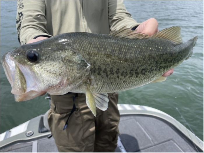 truth  ブログ写真 2021/06/11