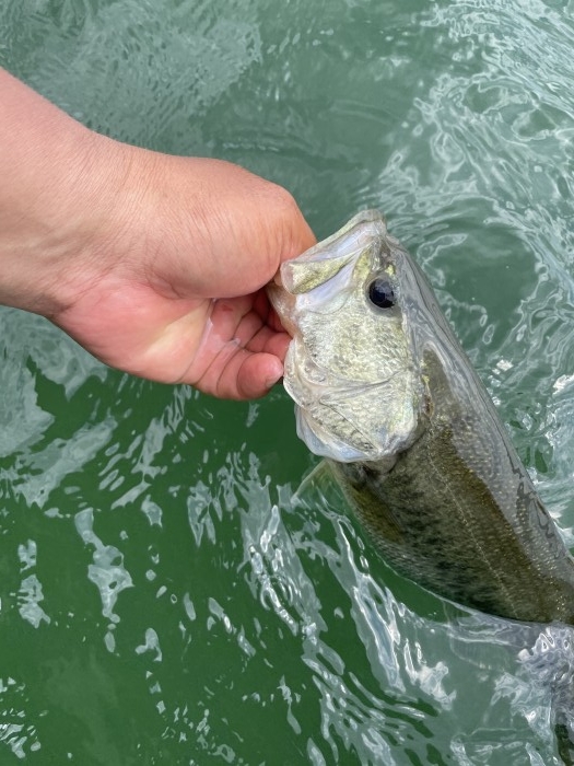 truth  ブログ写真 2021/06/11