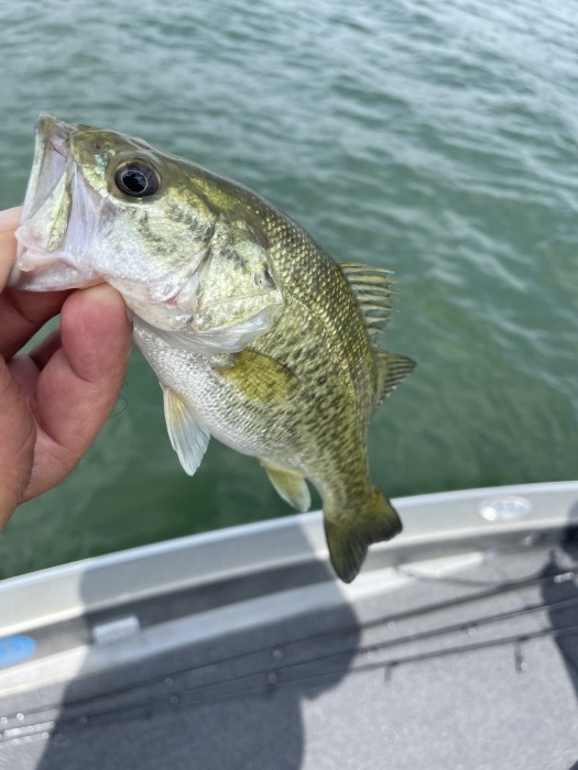 truth  ブログ写真 2021/06/12