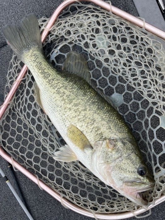 truth  ブログ写真 2021/06/13