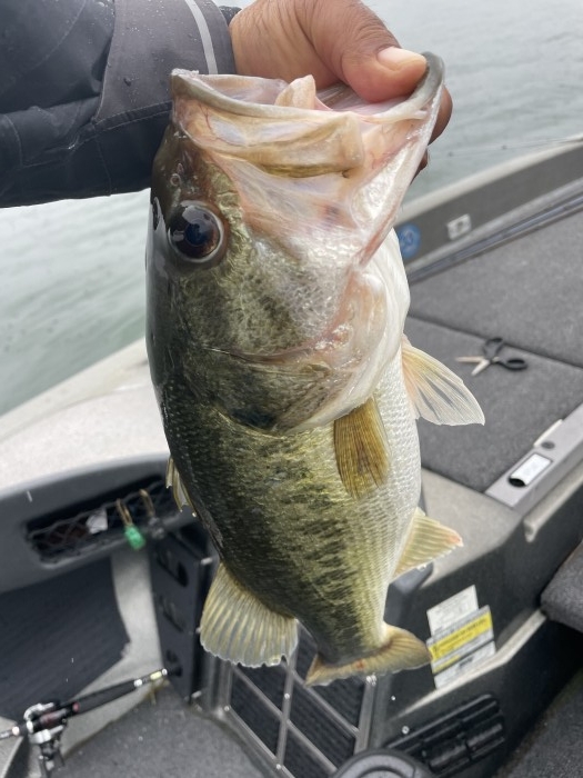 truth  ブログ写真 2021/06/13