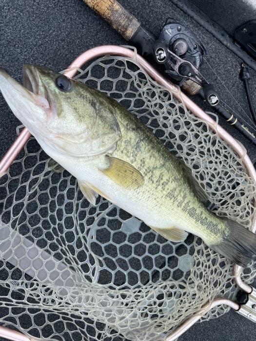 truth  ブログ写真 2021/06/13