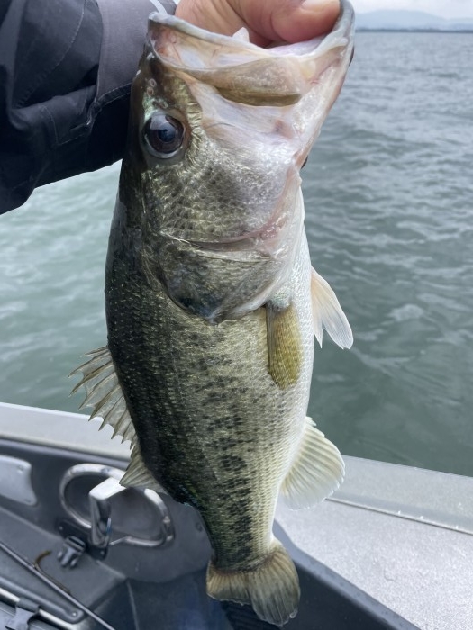 truth  ブログ写真 2021/06/13