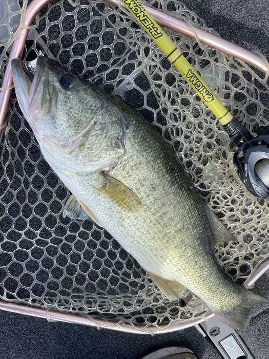 truth  ブログ写真 2021/06/14