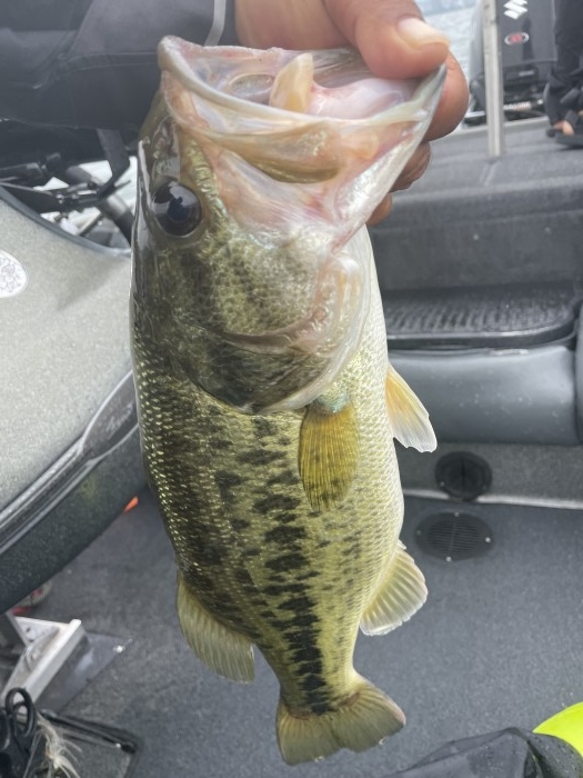 truth  ブログ写真 2021/06/16