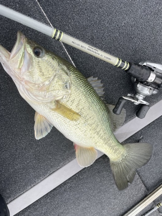 truth  ブログ写真 2021/06/16